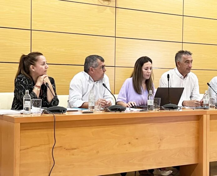 El PP urge al Cabildo a que actúe frente al preaviso de huelga del transporte discrecional de viajeros