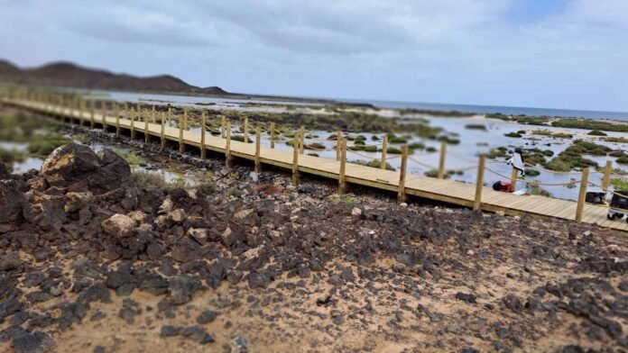 tasa turística Fuerteventura