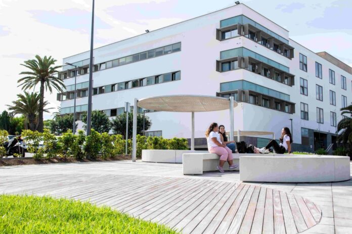 Las Universidades públicas canarias advierten del riesgo en el cambio normativo de las prácticas externas universitarias