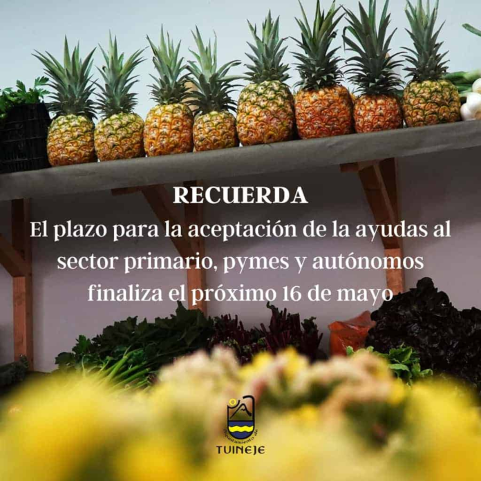 Tuineje recuerda que el plazo para la aceptación de la ayuda a pymes, autónomos y sector primario finaliza este 16 de mayo