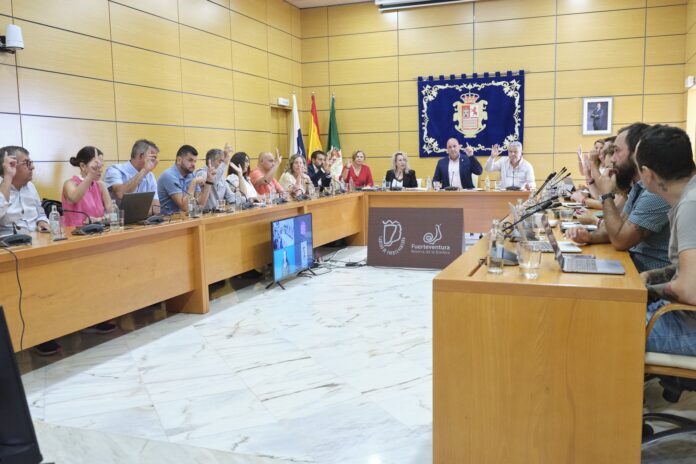 El Pleno del Cabildo aprueba la liberación de créditos para impulsar el Fondo de Desarrollo de Canarias