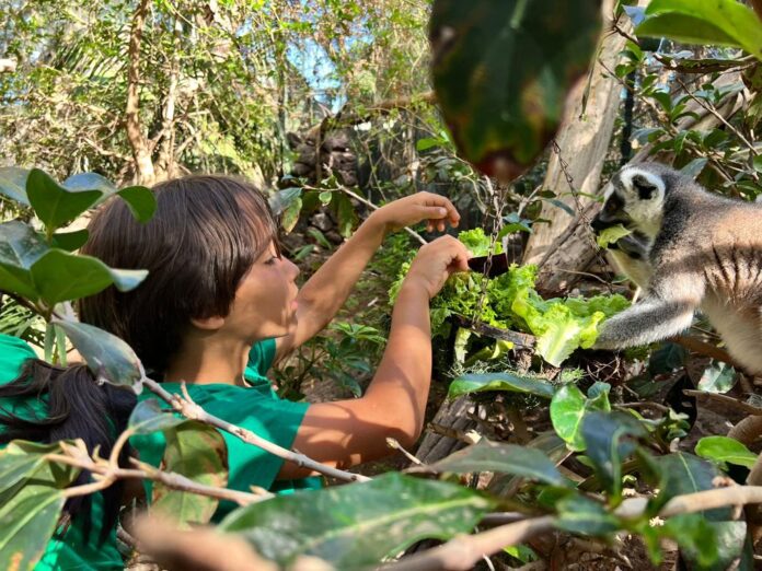 'Oasis Camp' acerca la naturaleza a los jóvenes con un enfoque basado en la diversión y el aprendizaje