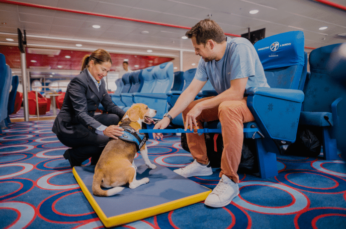 Más de 25.000 mascotas disfrutan de las acomodaciones ‘pet-friendly’ de Fred. Olsen Express en el último trimestre