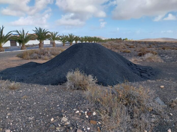El PP de La Oliva pide la mejora del cuidado y mantenimiento de las palmeras del municipio