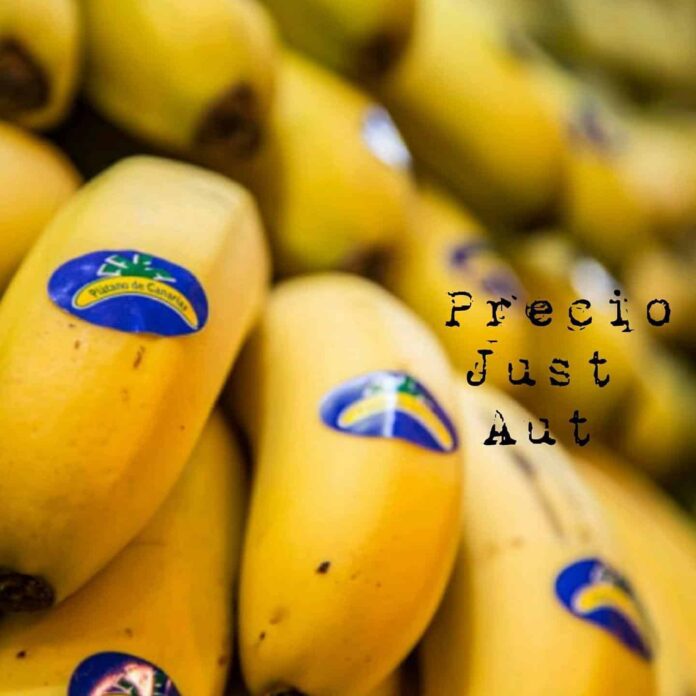La Plataforma por un Precio Justo del Plátano denuncia ante una agencia estatal “graves infracciones” de la Ley de Cadena Alimentaria que “arruinan” a los plataneros