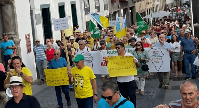 La Plataforma por un Precio Justo del Plátano denuncia ante una agencia estatal “graves infracciones” de la Ley de Cadena Alimentaria que “arruinan” a los plataneros