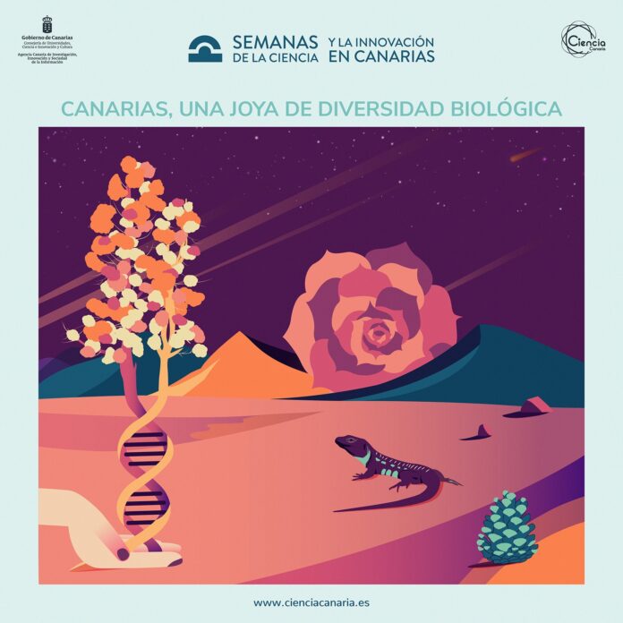 La ingeniosa y resolutiva ciencia brillan en Fuerteventura