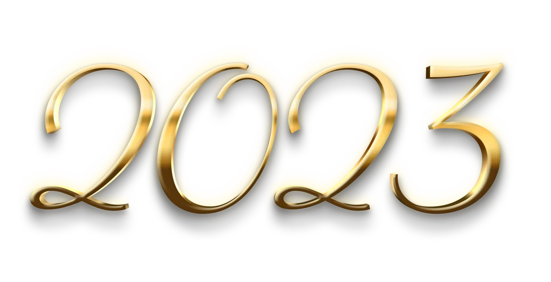 Año 2023