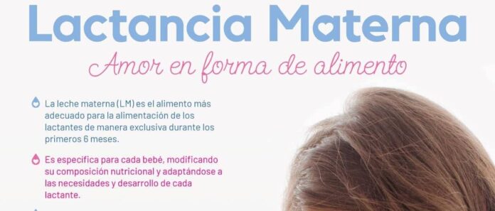 Sanidad elabora un Protocolo para la alimentación materna en el primer ciclo de educación infantil
