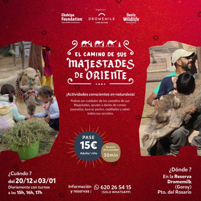 Regresa el Mágico Camino de sus Majestades los Reyes de Oriente