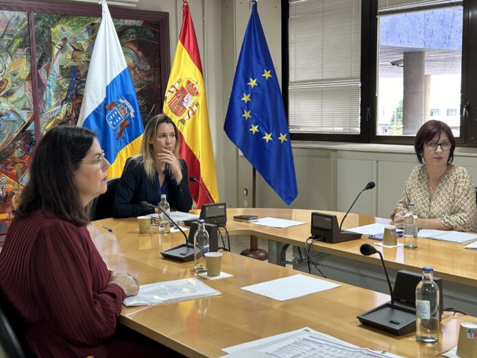 El Gobierno no exigirá a los cabildos la justificación de un mínimo de viajes para recibir la financiación al transporte