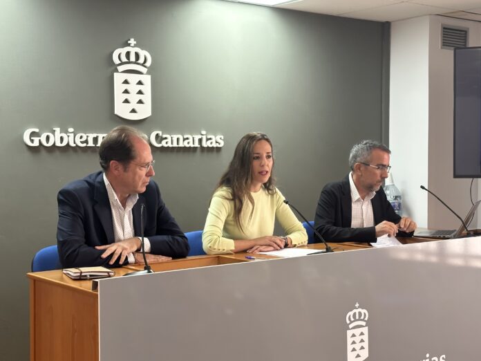 Las plazas de vivienda vacacional en Canarias suponen un 36% de la oferta alojativa frente al 18% de los apartamentos