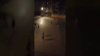 Denuncia Vecinal 31/10/24
