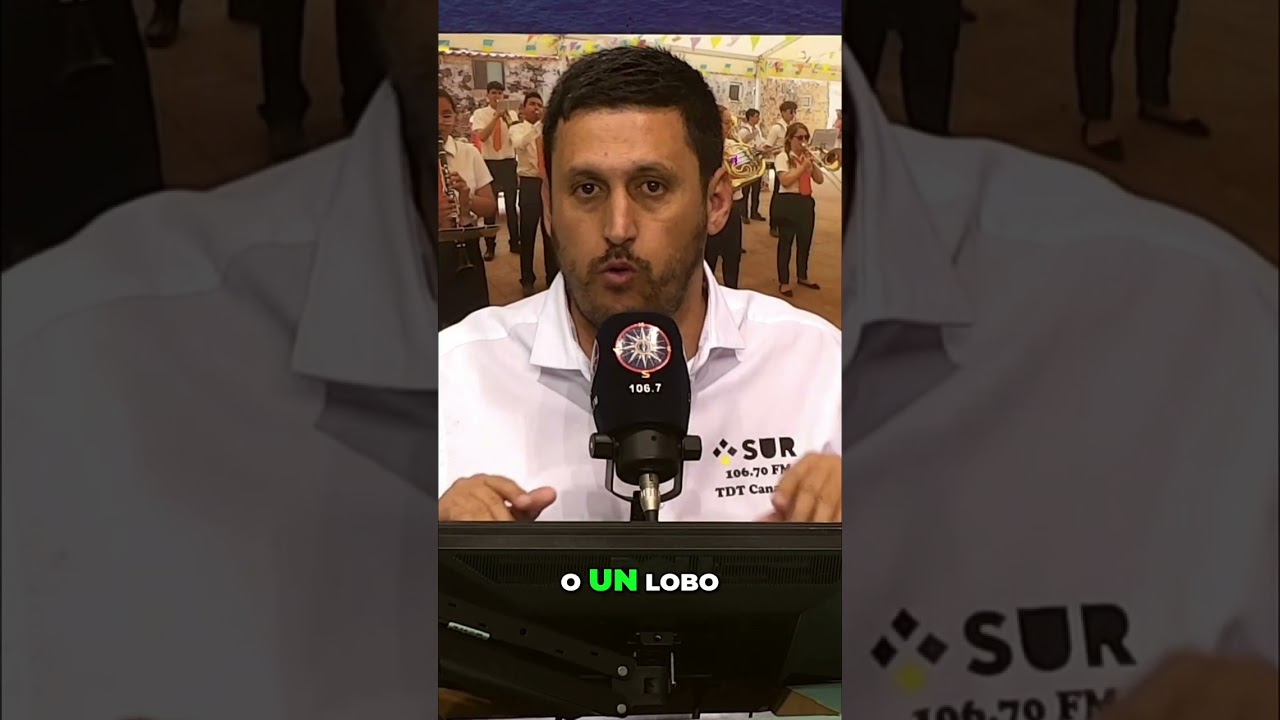 ¿Qué Son los Terians? ¡Máscaras, Colas y Comida de Animal!