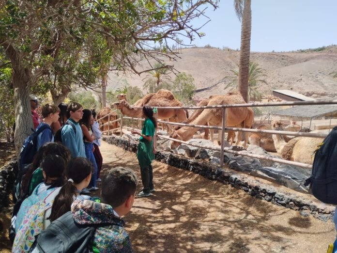 excursiones jóvenes antigua