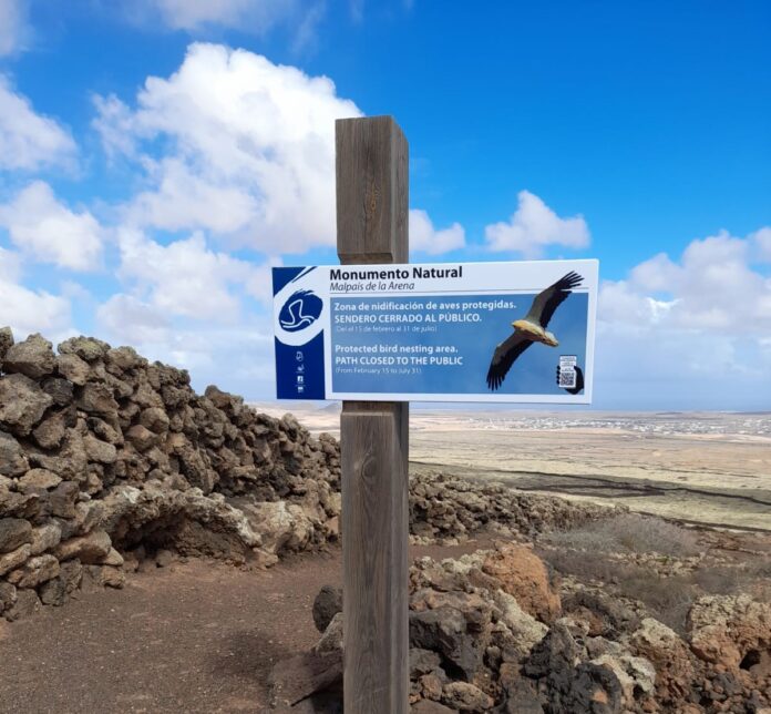 protección fauna Fuerteventura