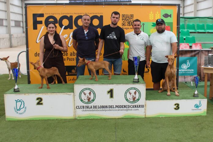 exposición podenco FEAGA