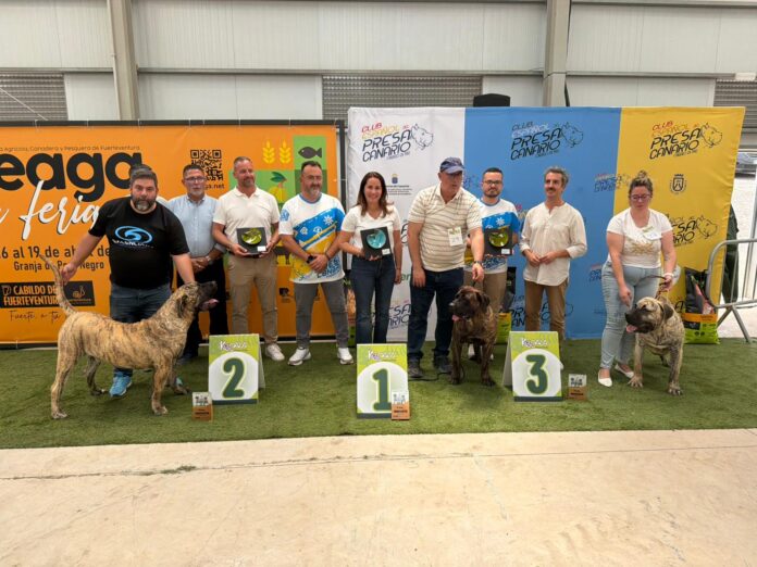 concurso presa canario Feaga
