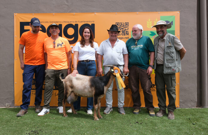 concurso cabras Feaga 2026