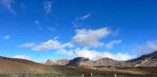 Canarias destina 1,2 millones a recuperar el retamar del Parque Nacional del Teide