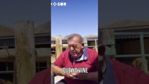 Agradecido: El Apoyo Vecinal Tras Mi Salida Del Ayuntamiento