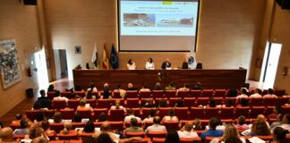 Canarias impulsa una gestión común del litoral con los municipios costeros