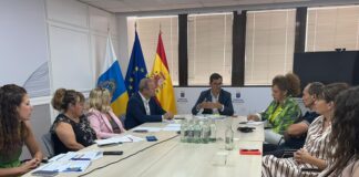 Los cabildos conocen las líneas del futuro Plan de Vivienda de Canarias 2026-2030