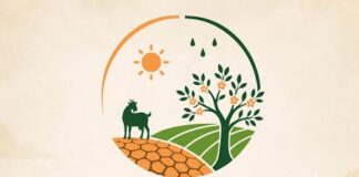 Transición reúne a profesionales y expertos para abordar el futuro del campo canario frente al cambio climático