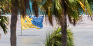 Fuerteventura decidirá siete títulos mundiales de Windsurf y Wingfoil en Sotavento