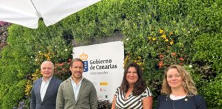 Canarias acelera la transición ecológica tras reforzar la seguridad de su sistema energético