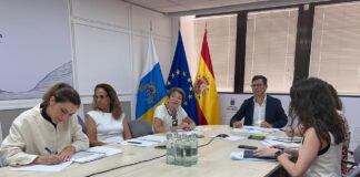 Canarias prepara un Plan de Vivienda con incentivos para impulsar la promoción privada