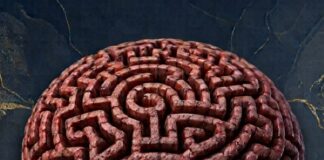 El Cabildo ofrece la formación ‘El Cerebro del Adicto’ para combatir los comportamientos adictivos desde una perspectiva neurobiológica