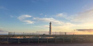 El Cabildo devuelve 9.000 metros cuadrados del Saladar de Jandía a su estado natural